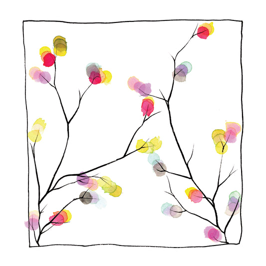 The Branches + Blossoms