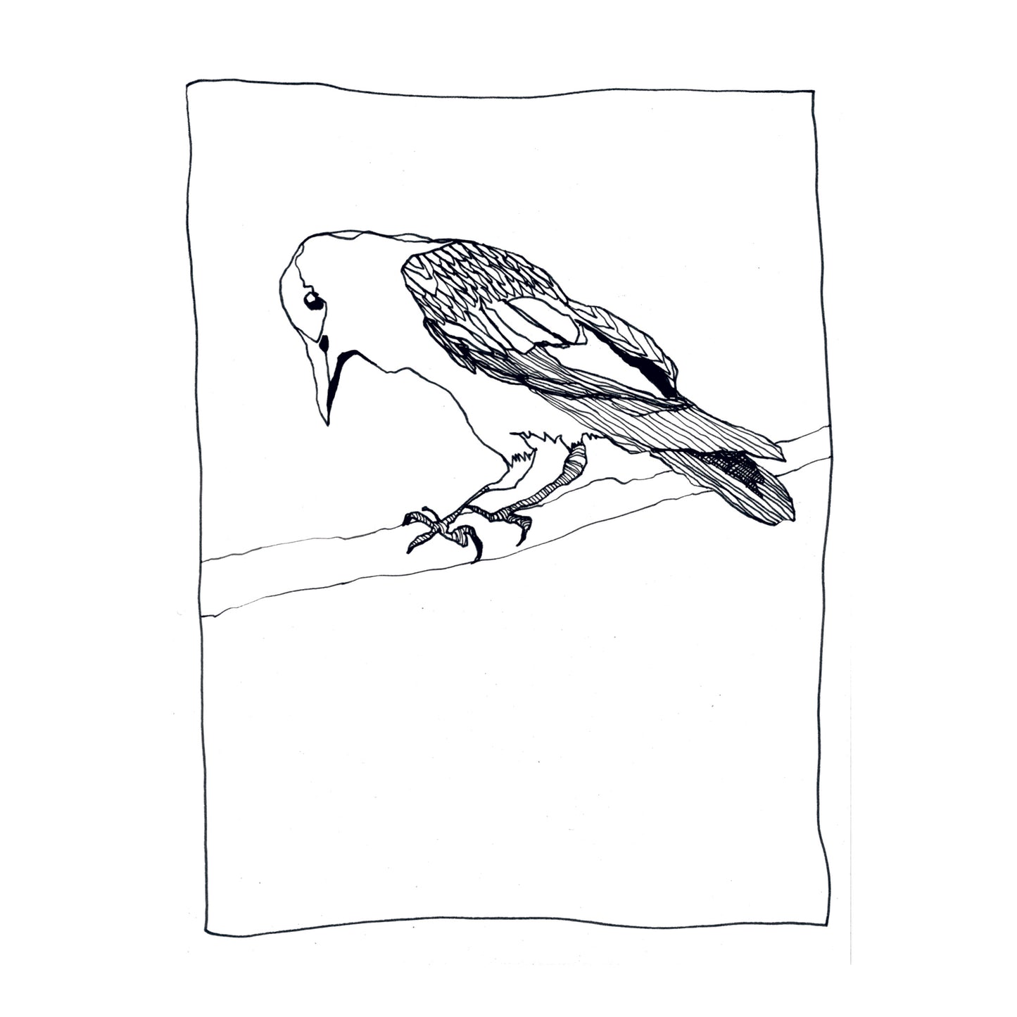 The Crow on the Branch