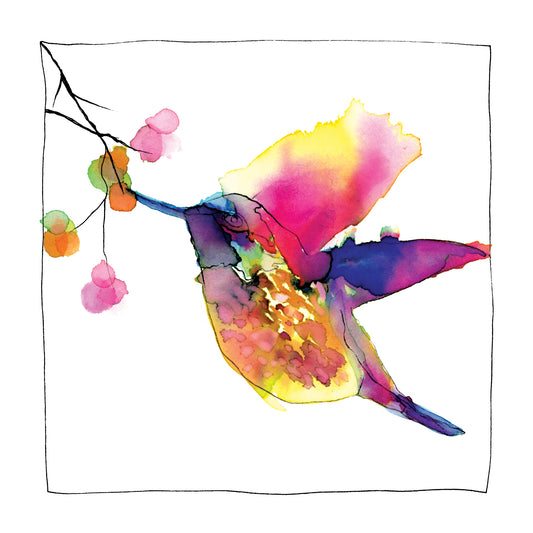 The Hummingbird Eats