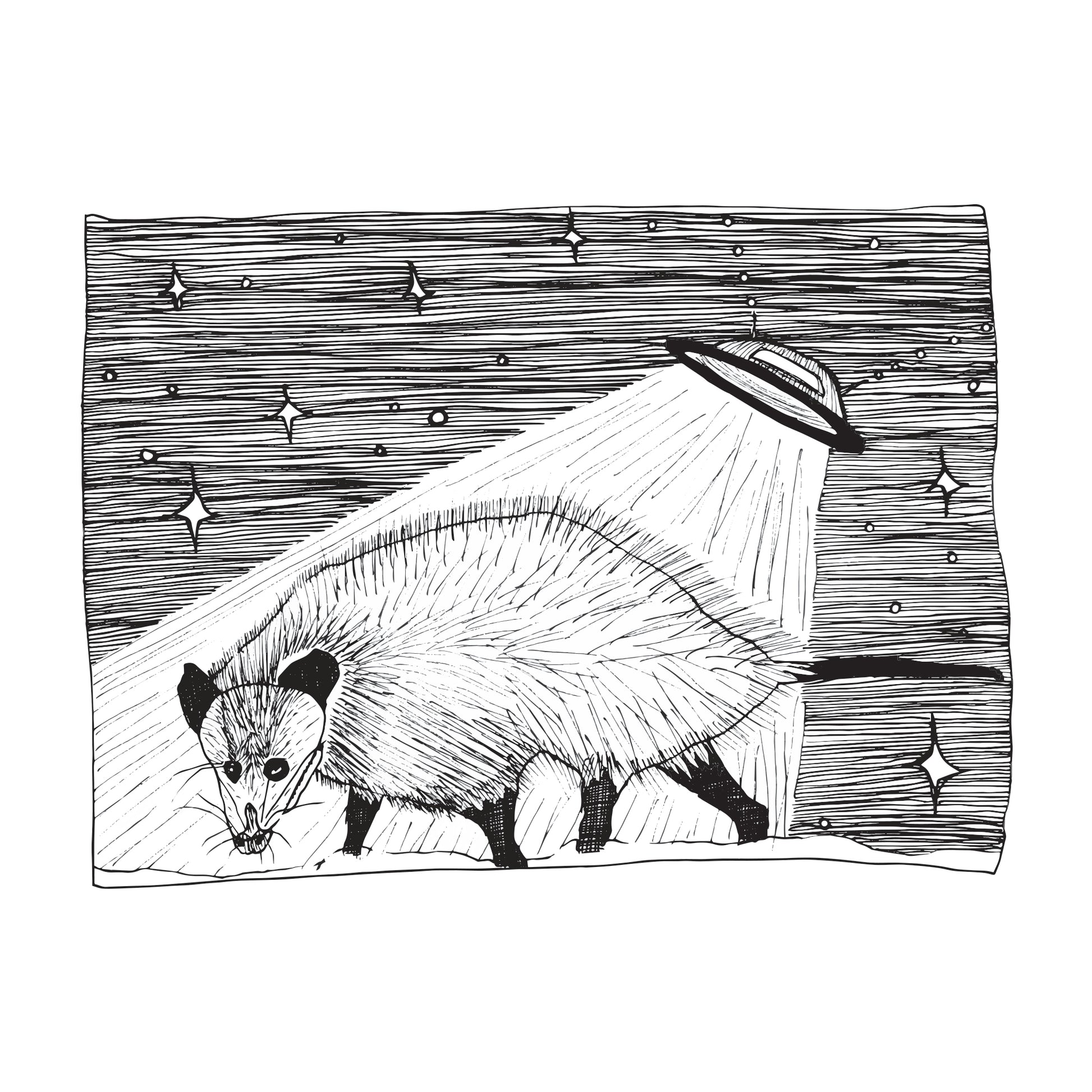 black and white illustration of a beam of light emanating from a spaceship onto an opossum on a starry night