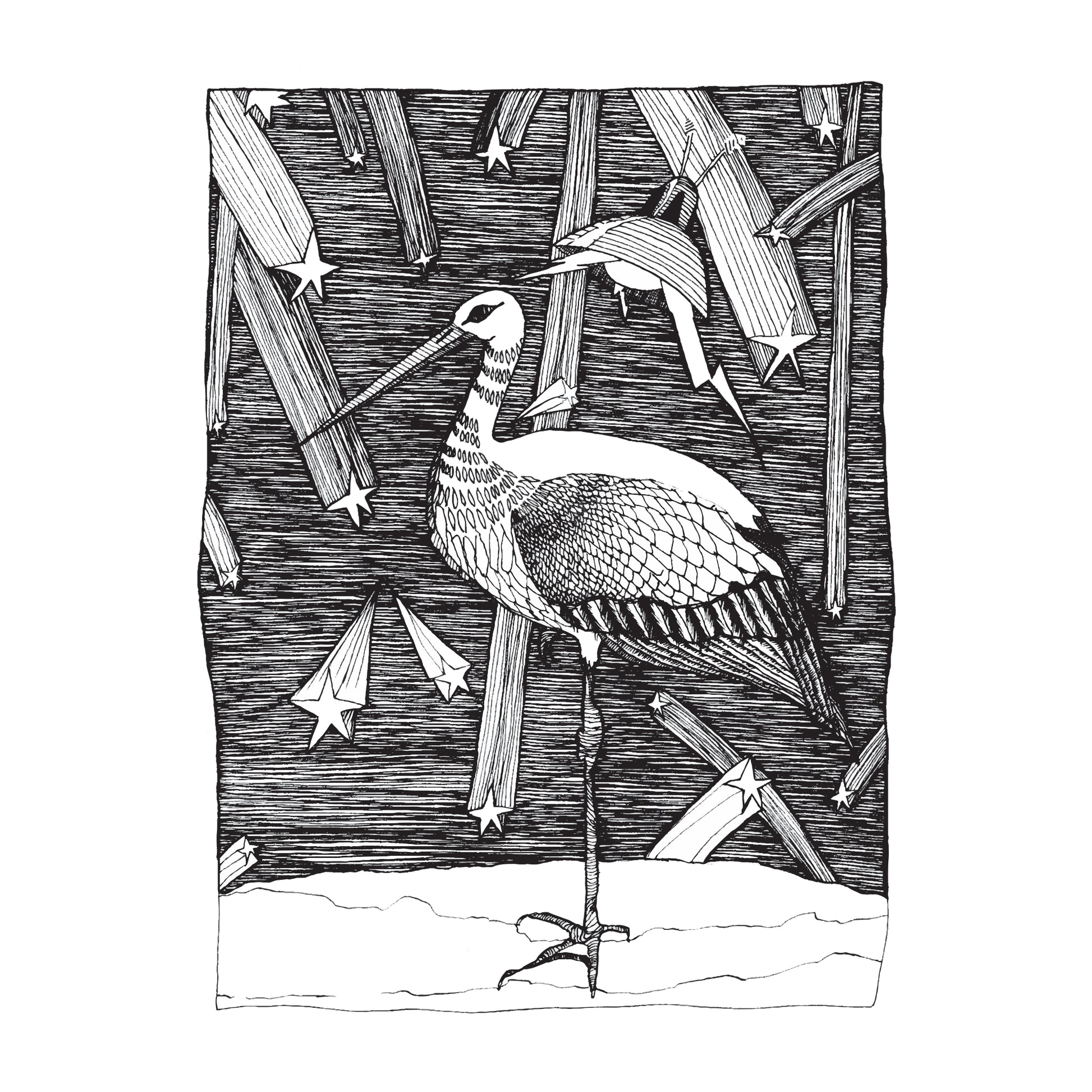 black and white illustration of a stork standing on one leg, a spaceship in the sky, all surrounded by shooting stars 