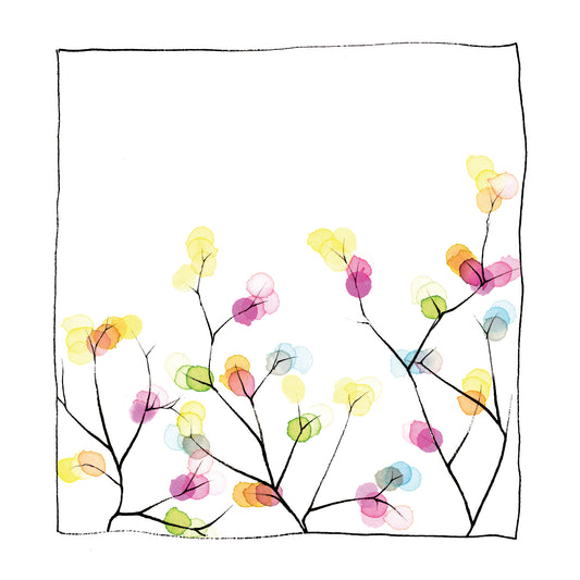 The Spring Blossoms