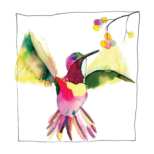 The Hummingbird