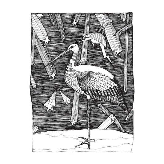 black and white illustration of a stork standing on one leg, a spaceship in the sky, all surrounded by shooting stars 